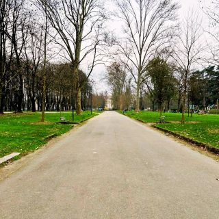 BoschettiRealiBeauharnais resized